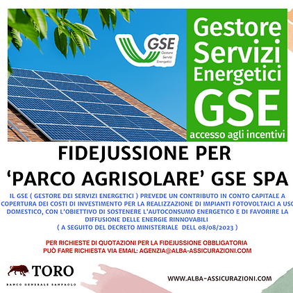 fidejussioen gse.png