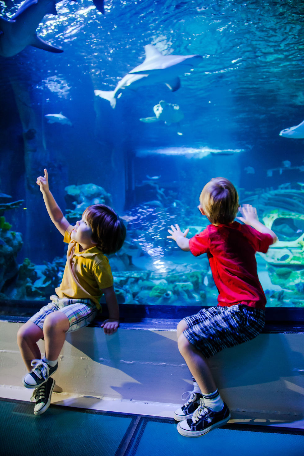 Miniaturbild: 3★ or 4★ London Hotel Escape & SEALIFE for 2