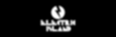 electric island, toronto, festival, edm, dance music