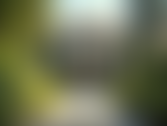 Understanding GebaiProperty Property Management Services