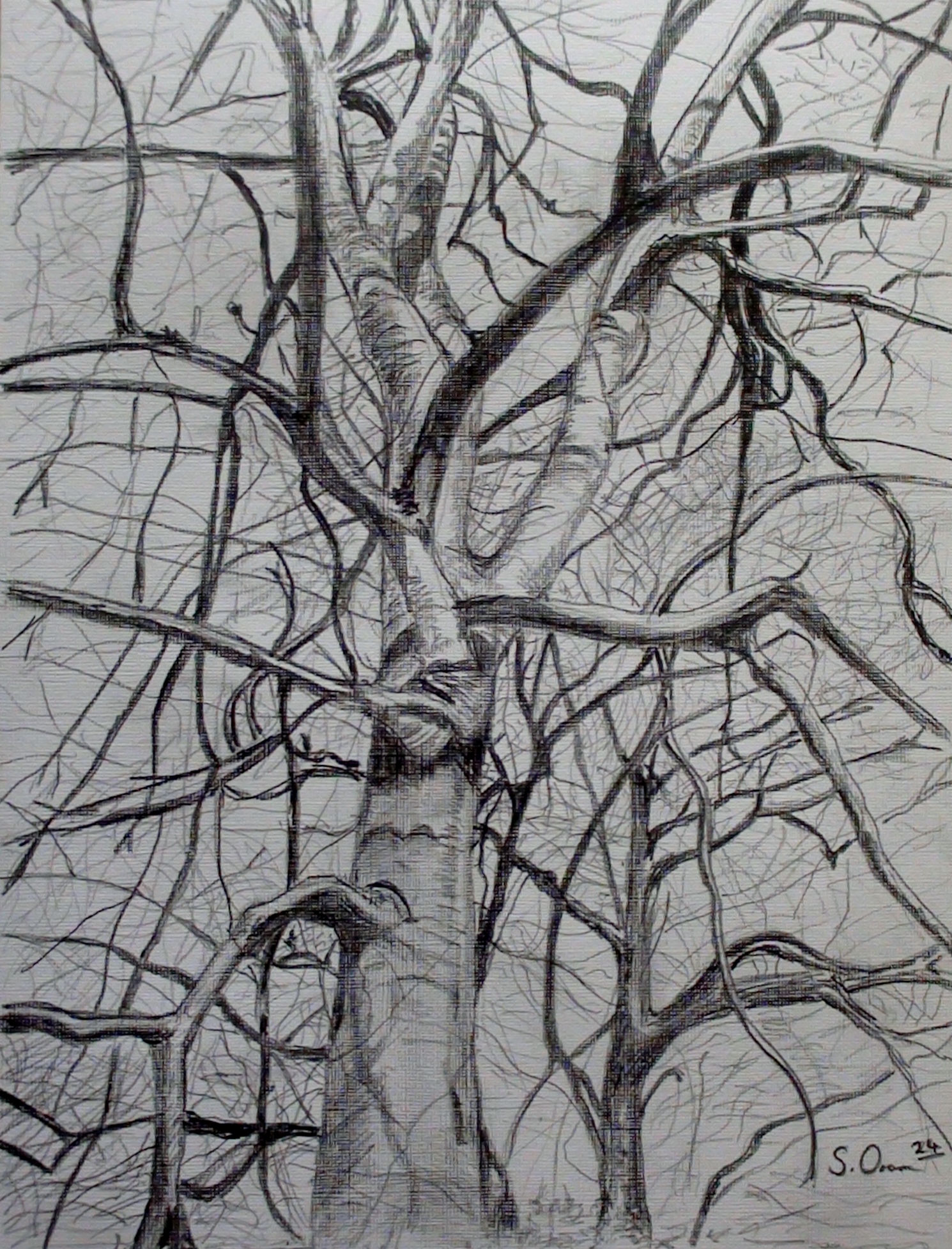 'Winter in the Forest'