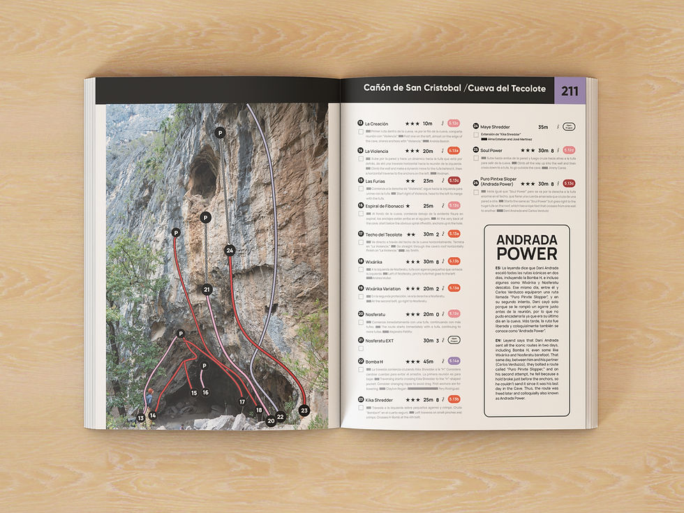 Miniatura: Guía de Escalada de El Salto