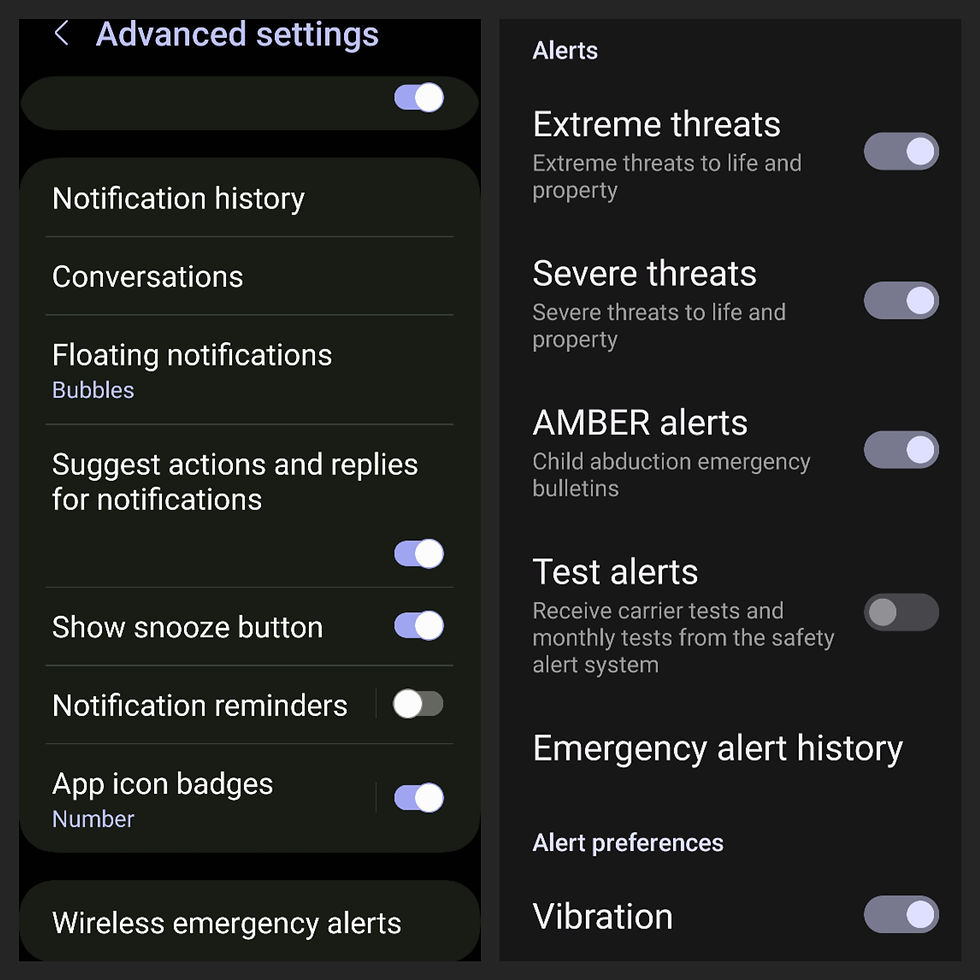 Emergency Alert notification settings