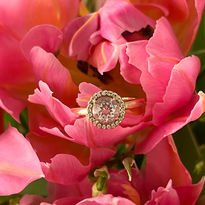 Expressivo Ring in Rosegold mit Morganit