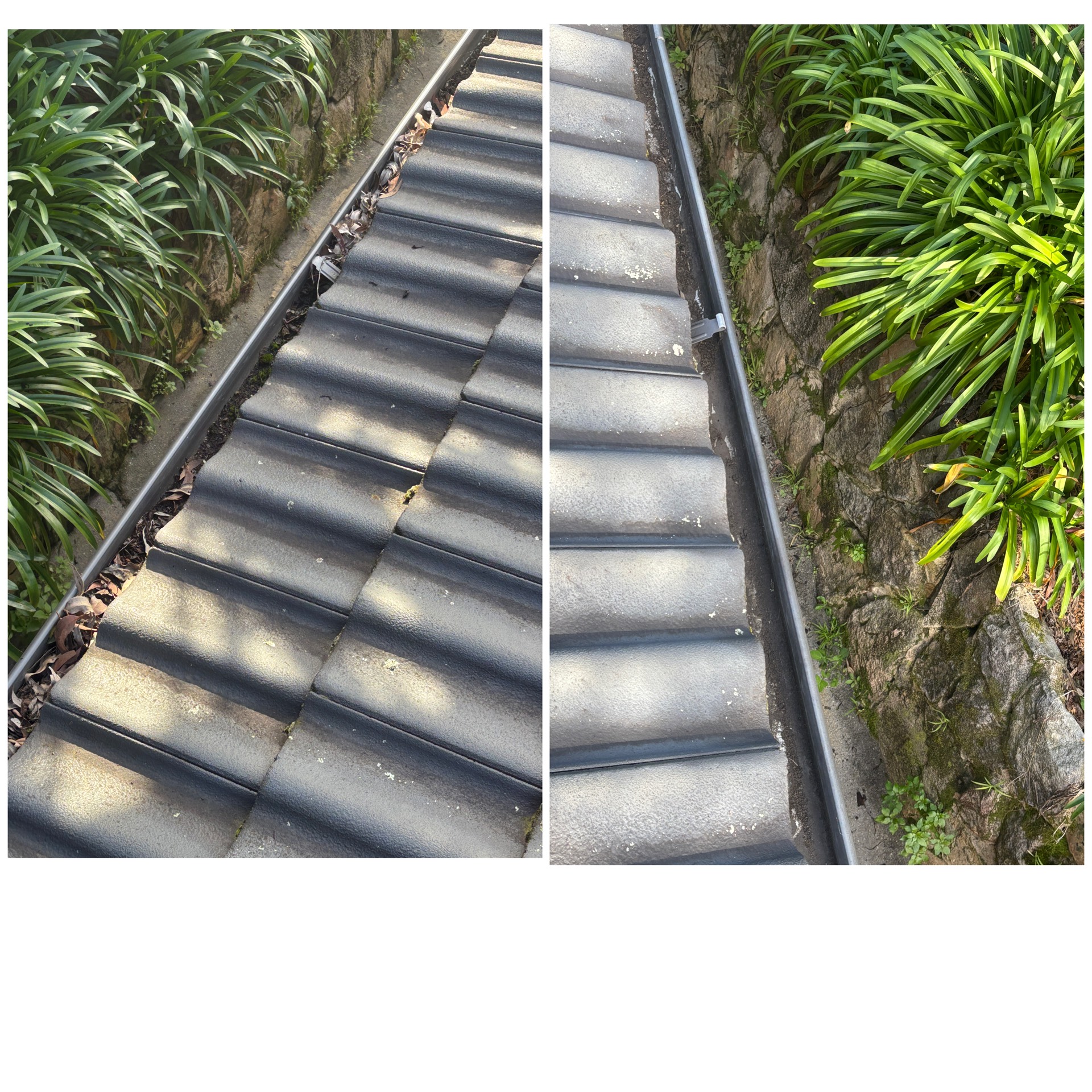 Roof and gutter cleaning before