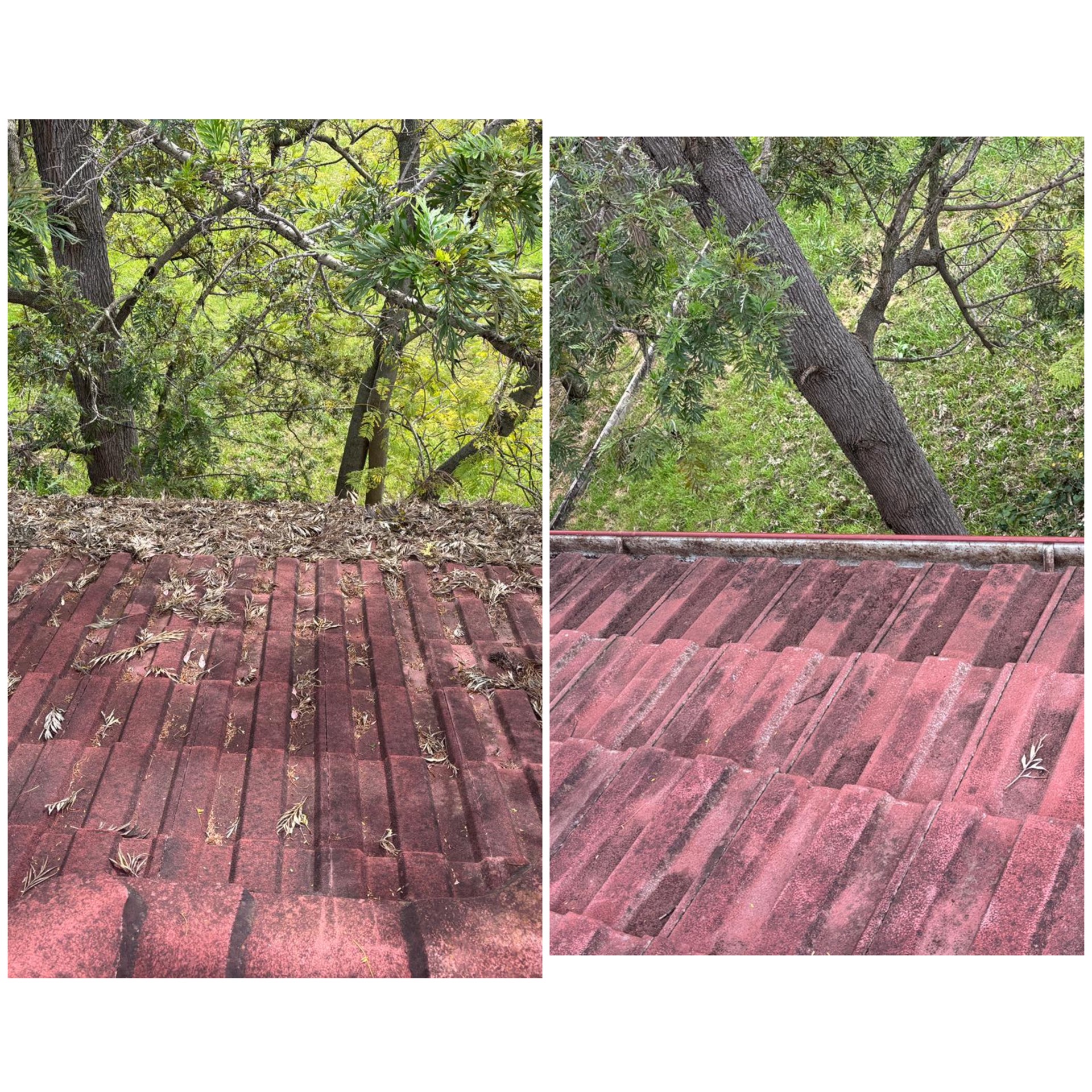Roof and gutter cleaning after