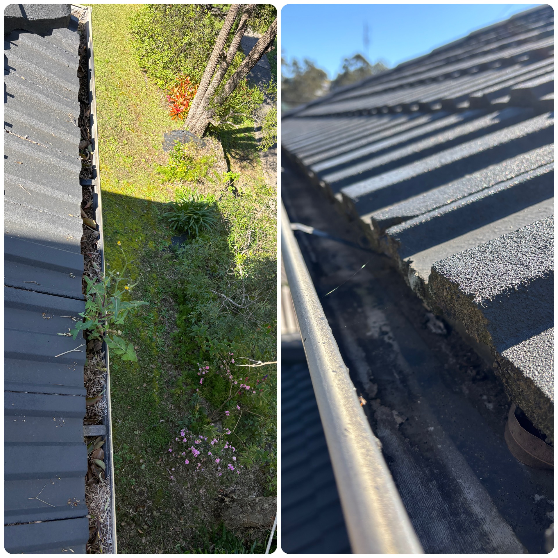 Gutter full of leaves and debris before cleaning