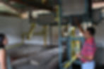Farm facilities