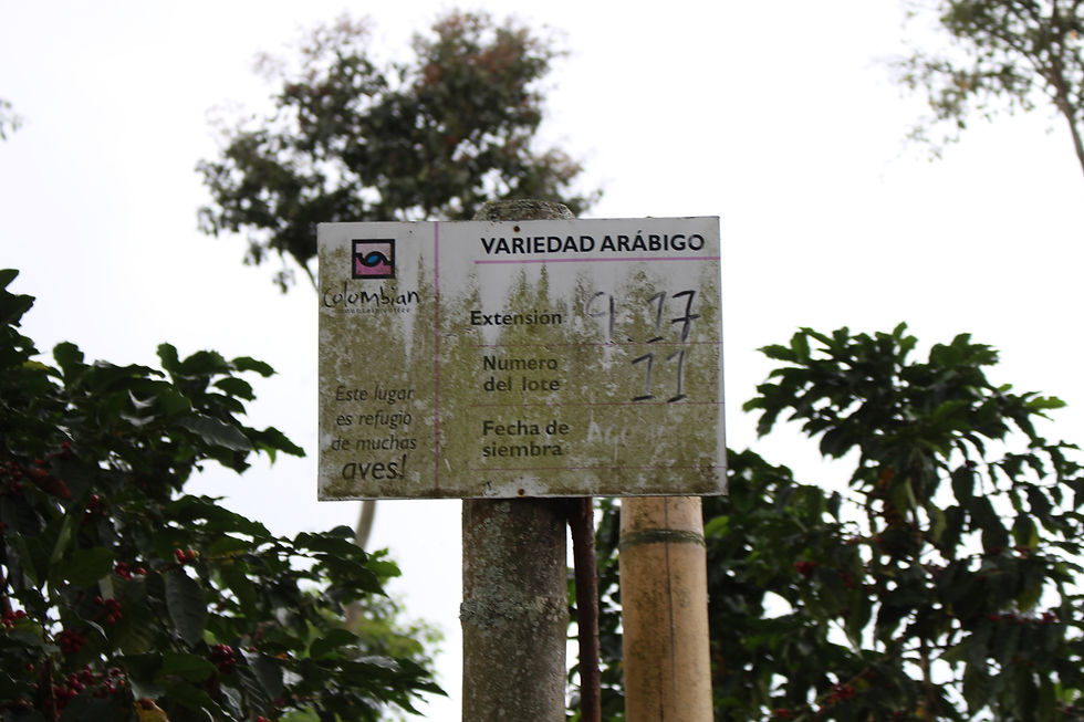 Microlot information
