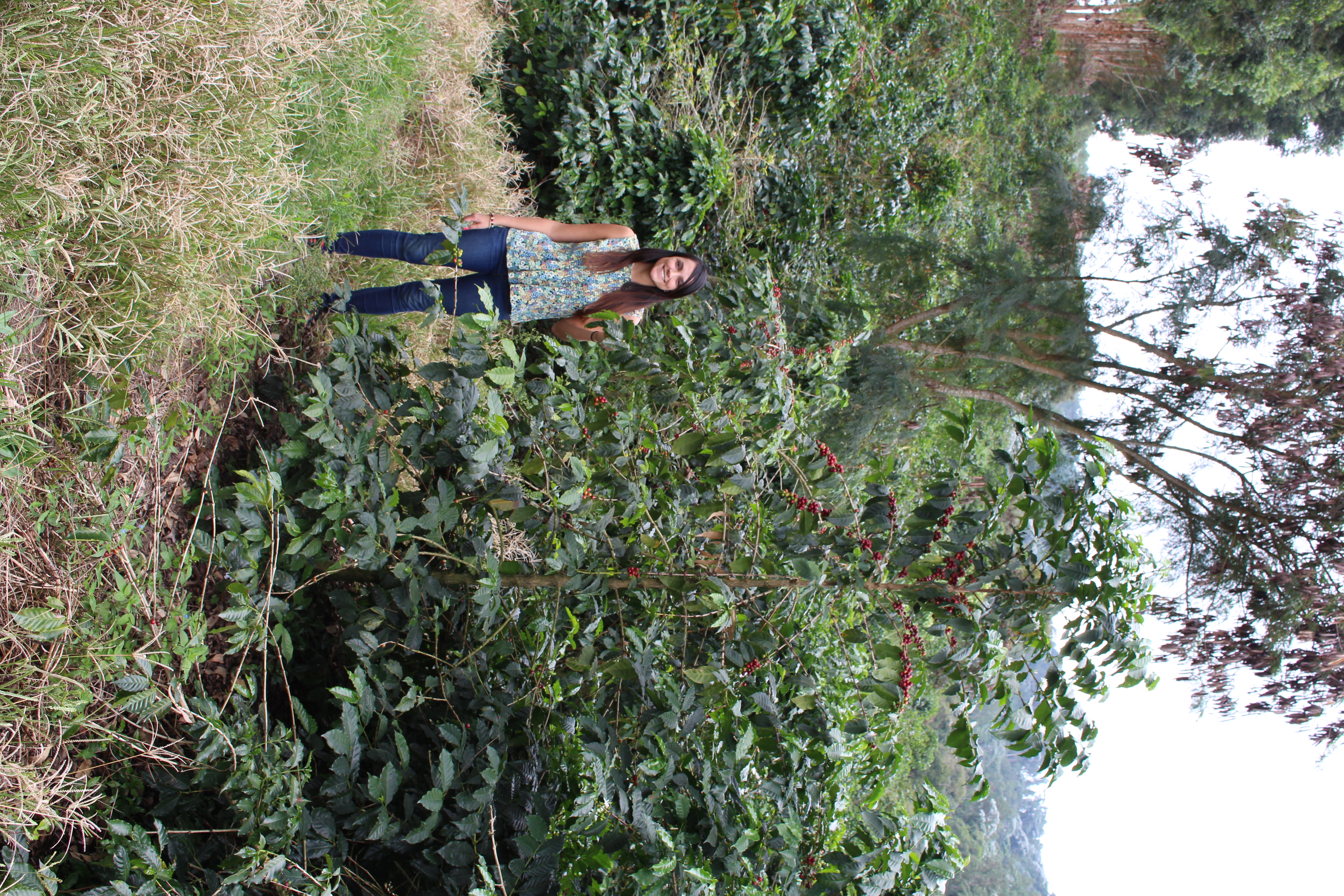 Farm Manantiales del Frontino