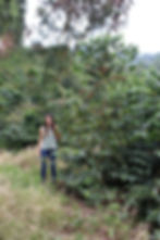 Maria and Gesha plant