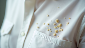 Safe Methods to Remove Mould from Clothes