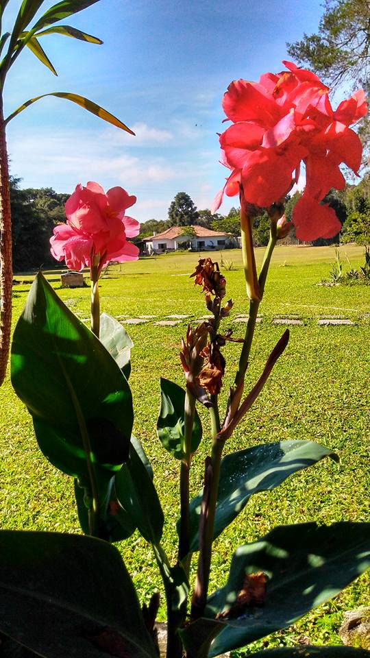 Natureza e ar livre