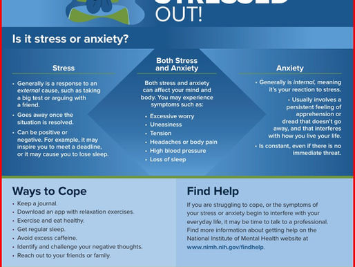Stress Resilience: Building Cognitive and Emotional Buffers Against Life's Pressure