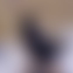 Spring Athletics at PAA