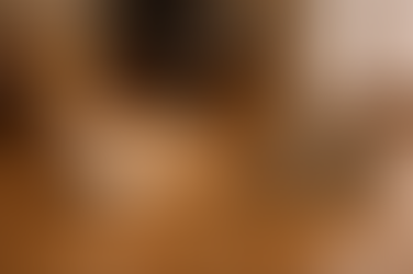 冬に特に気をつけたいペットの体調ポイント