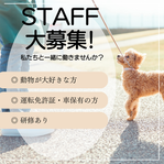 スタッフ募集のお知らせ