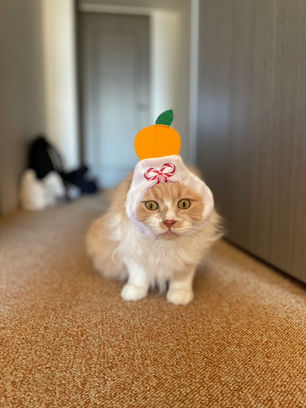2026年 新年のご挨拶