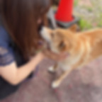 ご利用者さまの声モモちゃん画像