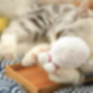 Thumbnail: Sushi Catnip Toy
