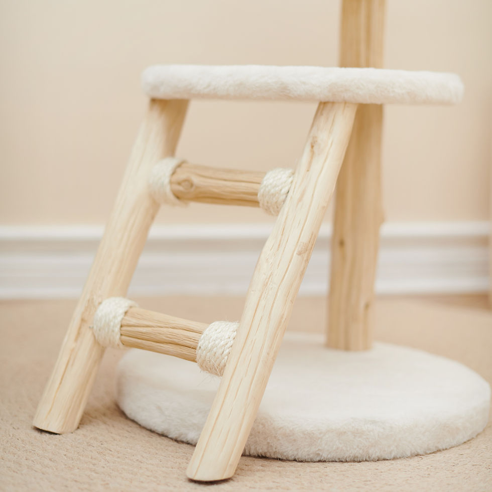 Thumbnail: 2 Storey Plush Playground with Ladder