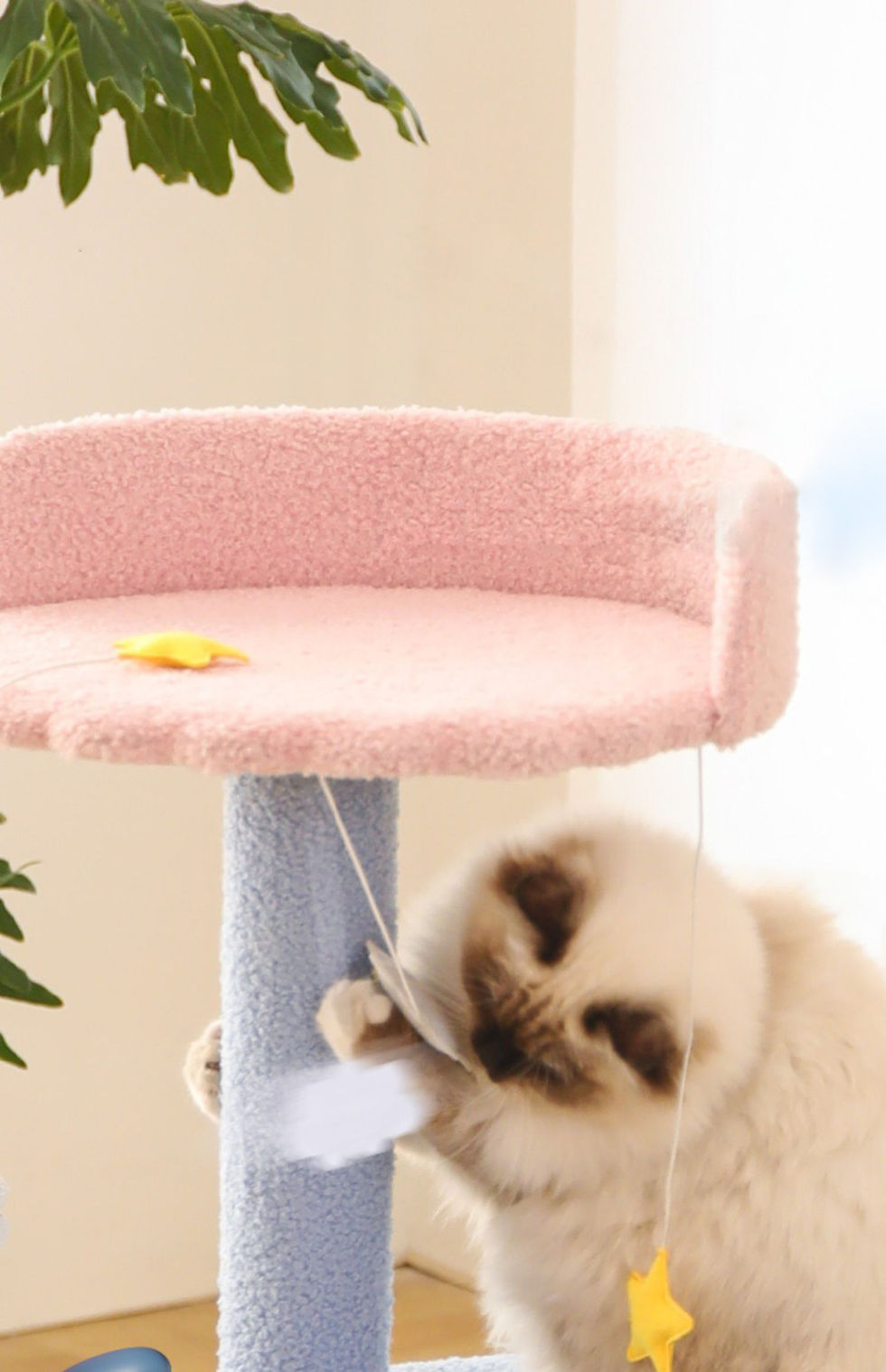 Thumbnail: 3 Tier Ocean View Cat Condo