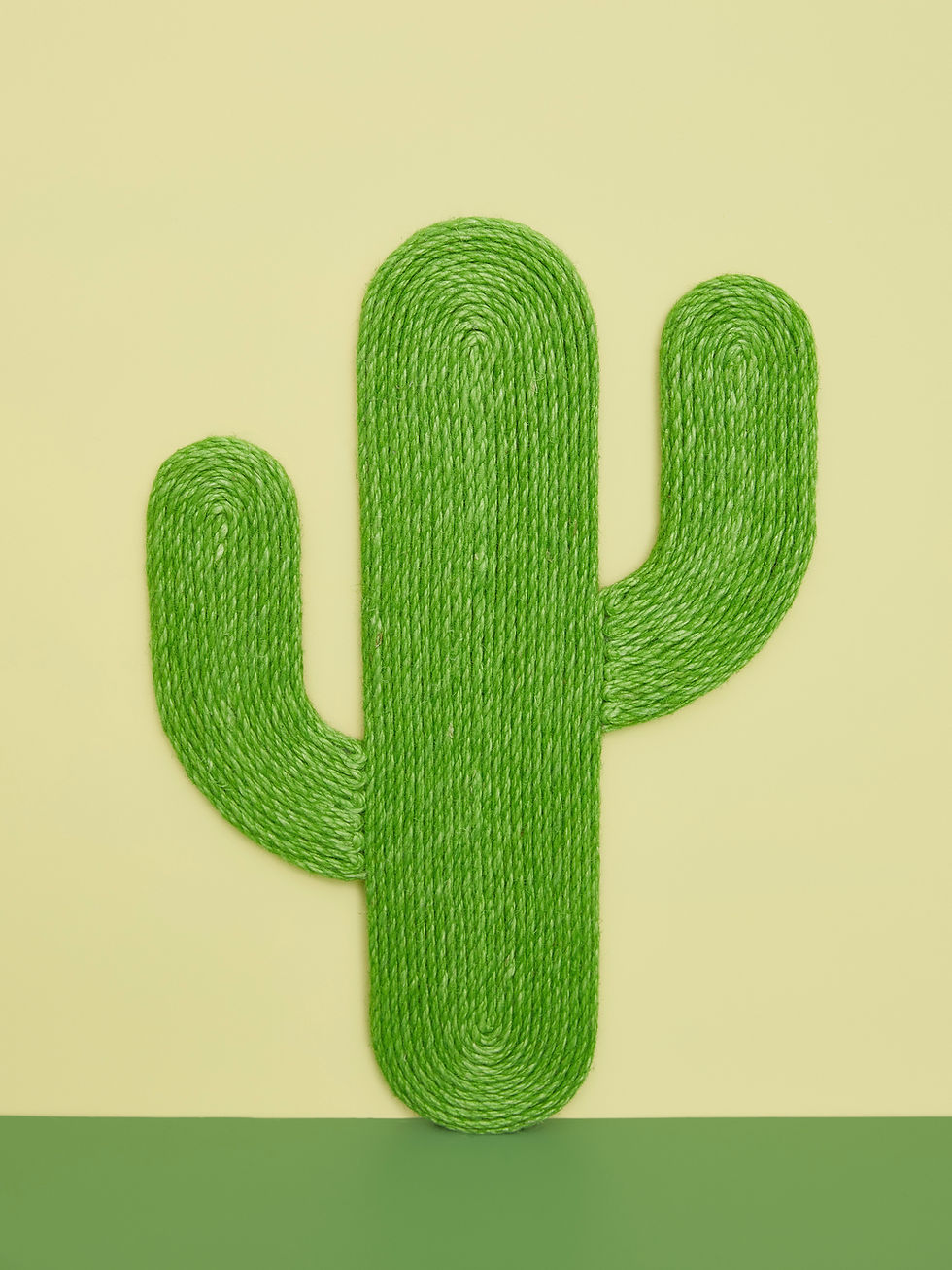 Thumbnail: Cactus Scratch Pad with Suction Cups