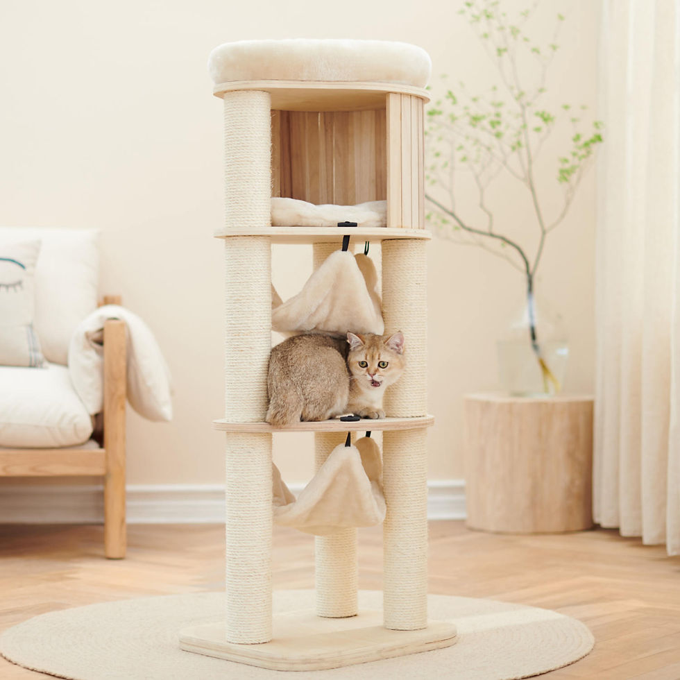 Thumbnail: 3 Tier Vertical Condo with Hammocks