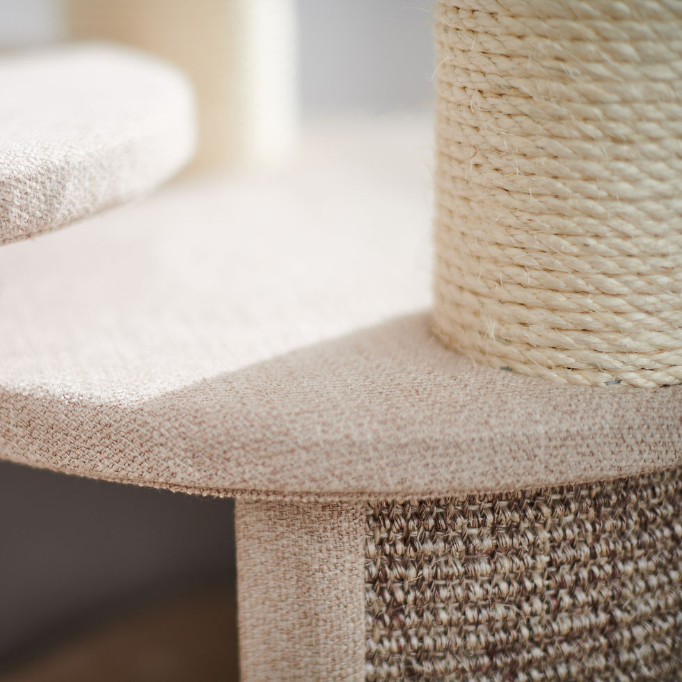 Thumbnail: 7 Storey Cat Mansion with Nest