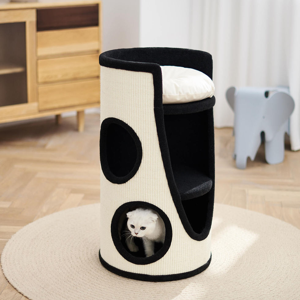 Thumbnail: 3 Tier Monochrome Cat Shelf