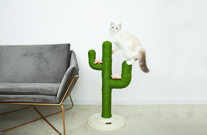 Thumbnail: Premium Cactus Scratching Tree