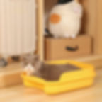 Thumbnail: Basic Litter Box with Scoop