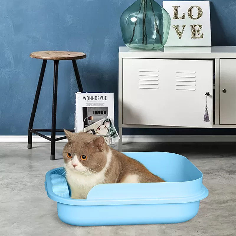 Thumbnail: Basic Litter Box with Scoop