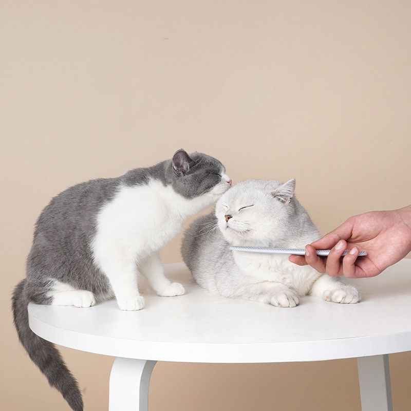 Thumbnail: Cat's Tongue Massage Comb