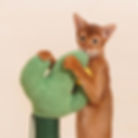 Thumbnail: Cactus Plushie Scratch Pole