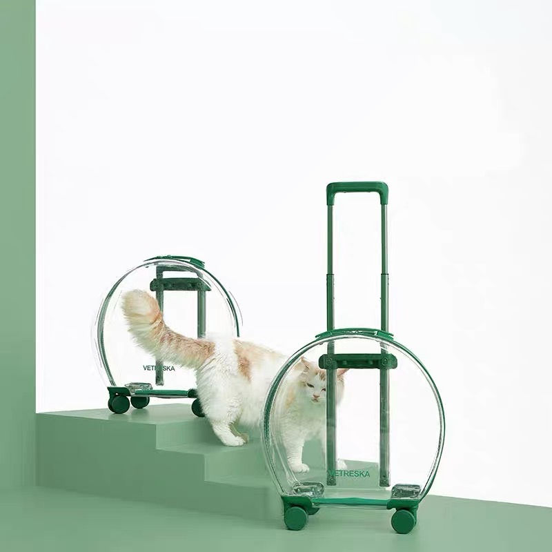 Thumbnail: Transparent Bubble Pet Luggage