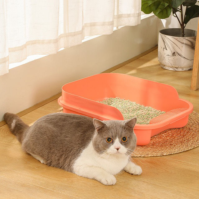 Thumbnail: Basic Litter Box with Scoop