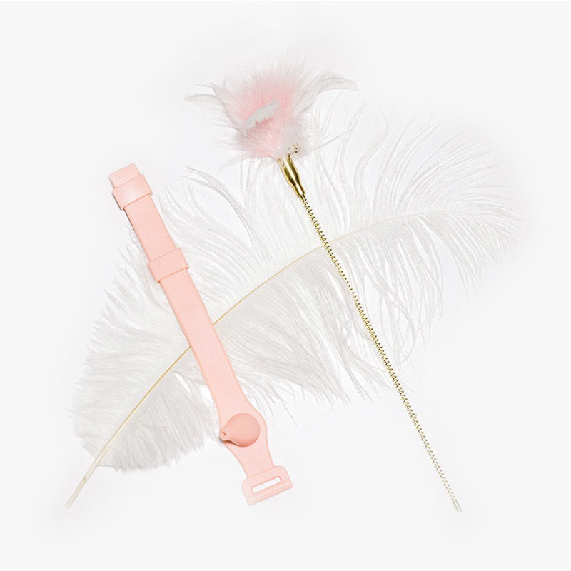 Thumbnail: Ankle Spring Feather Teaser