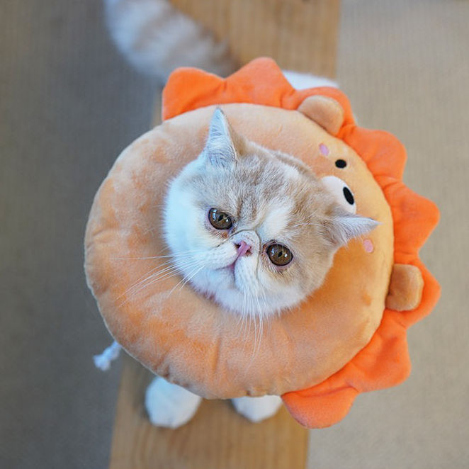 Thumbnail: Cushioned Elizabeth Collar (Nature Edition)