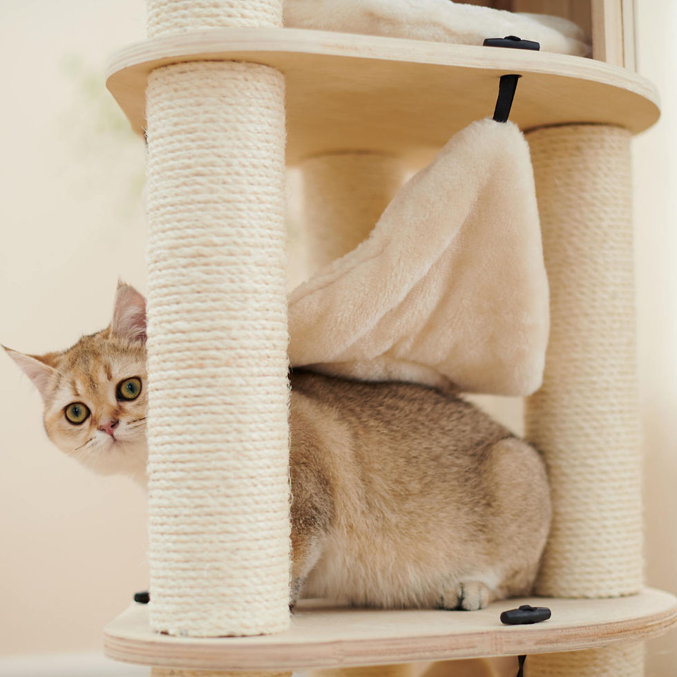 Thumbnail: 3 Tier Vertical Condo with Hammocks