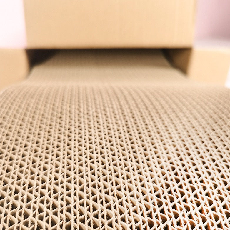 Thumbnail: Basic Scratchers