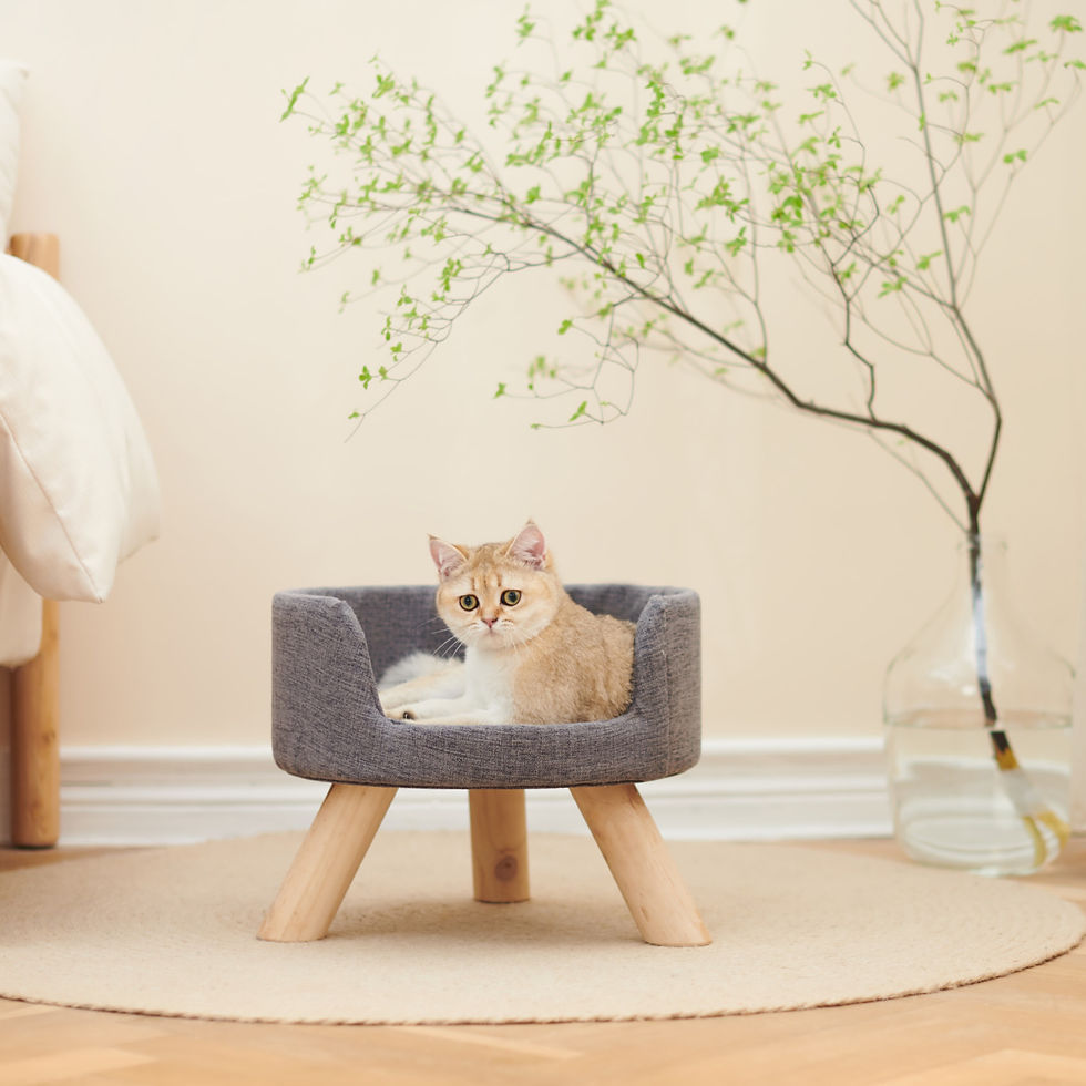 Thumbnail: Mini Nesting Stool