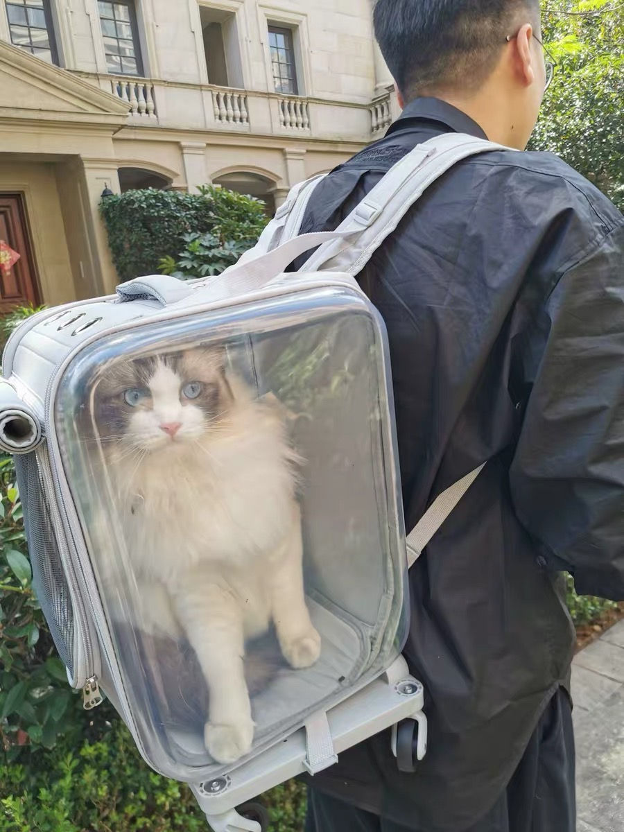 Thumbnail: Petseek Outdoor Trolley Backpack
