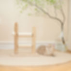 Thumbnail: Basic Solid Wood Scratch Ladder