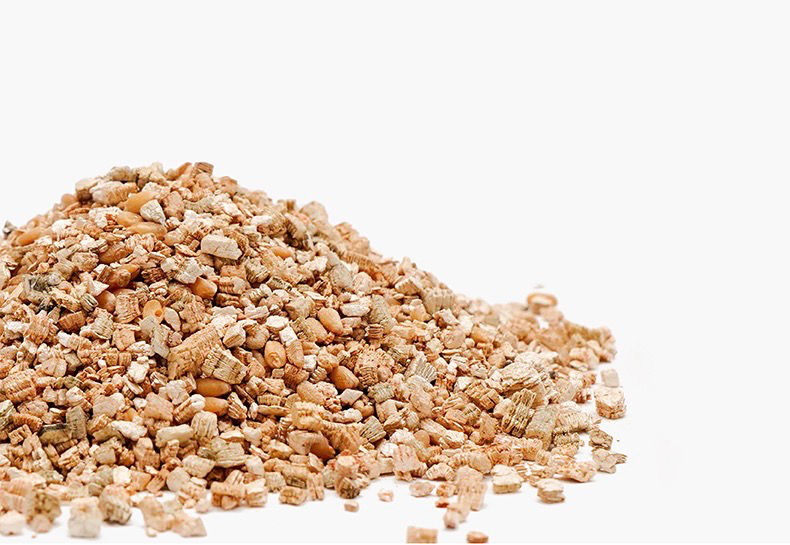 Thumbnail: Organic Cat Wheat Grass