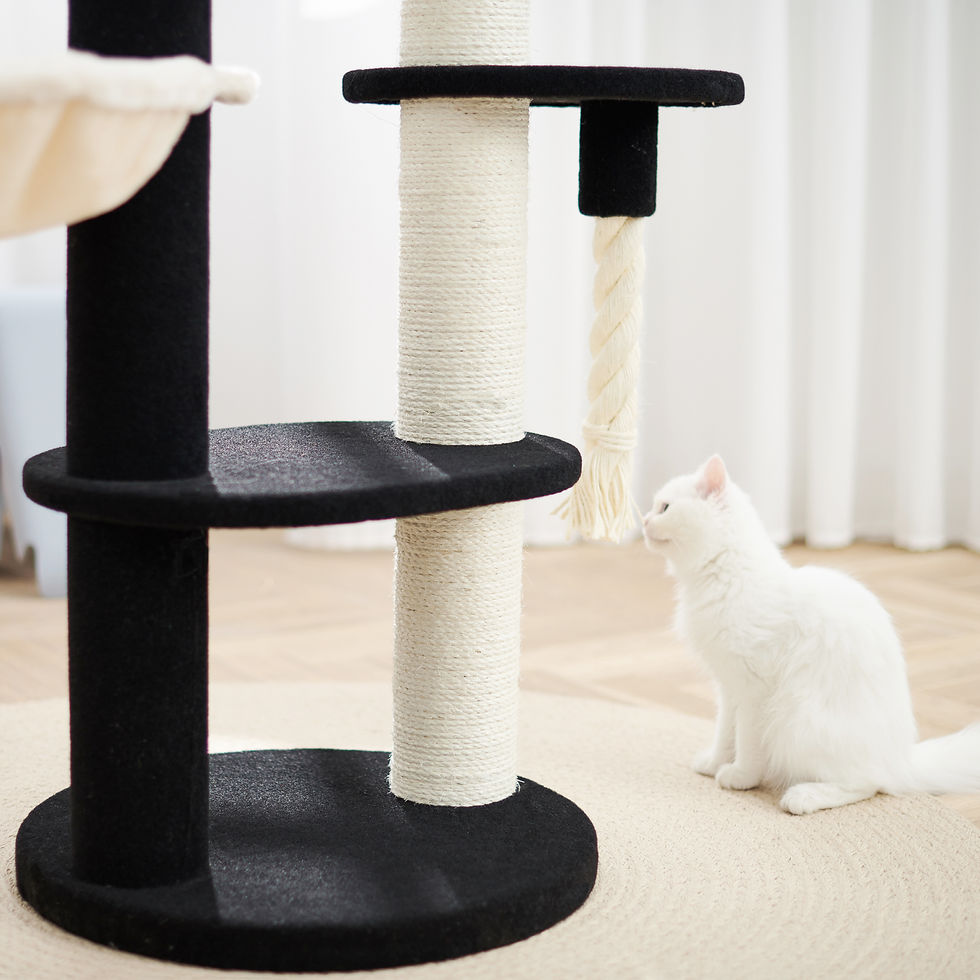 Thumbnail: 5 Storey Monochrome Cat Condo with Nest
