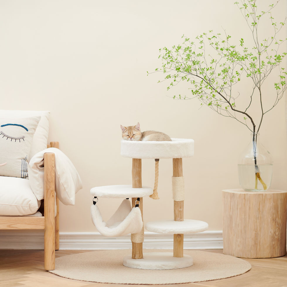 Thumbnail: 3 Storey Plush Playground with Hammock