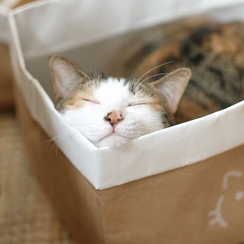 Thumbnail: Kraft Paper Box