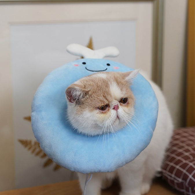 Thumbnail: Cushioned Elizabeth Collar (Nature Edition)