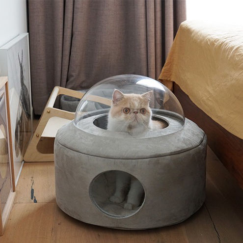Thumbnail: Spacecraft Foldable Bed